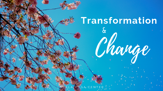 Transformation & Change