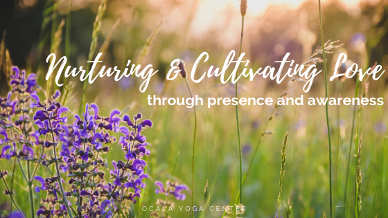 Nurturing and Cultivating Love through Presence and Awareness